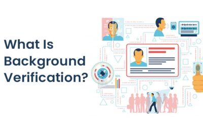 What Is Background Verification?