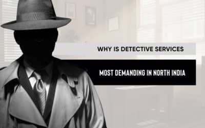 Why Is Detective Services Most Demanding In North India?