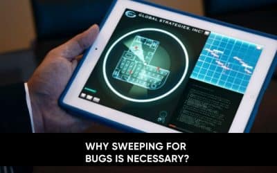 Why Sweeping For Bugs Is Necessary!