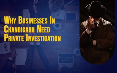 Why Businesses In Chandigarh Need Private Investigators