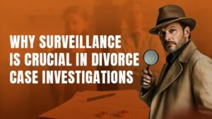 Divorce Case Investigations